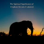 dreaming of elephants