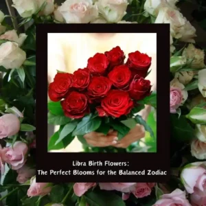 libra birth flower