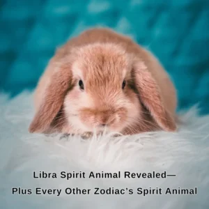 libra spirit animal
